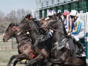 Lire la suite à propos de l’article La course au référencement.