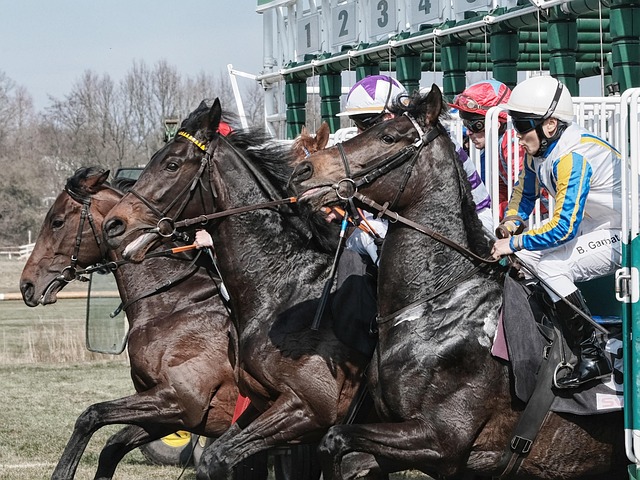 You are currently viewing La course au référencement.
